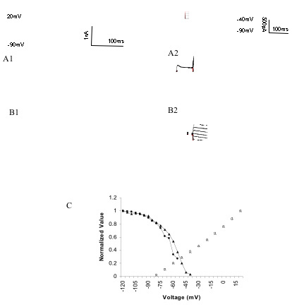 voltage dependence